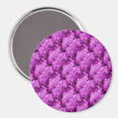 Fuschia Liebe.... Magnet (Vorderseite/Rückseite)