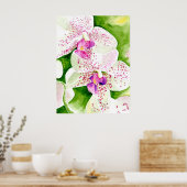 Fuschia Orchid Print Poster (Küche)