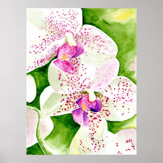 Fuschia Orchid Print Poster (Vorne)