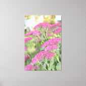 Fuschia Pink Flower Leinwand (Vorderseite)