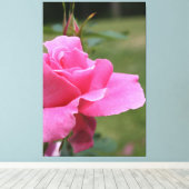 Fuschia Pink Garden Rose Leinwanddruck (Insitu (Holzboden))