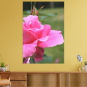 Fuschia Pink Garden Rose Leinwanddruck (Insitu (Wohnzimmer))