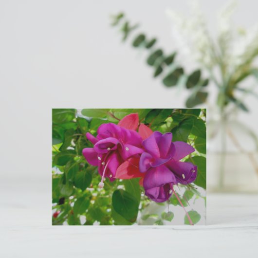 Fuschia Postcard Postkarte (Stehend Vorderseite)