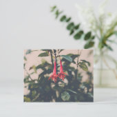 Fuschia Postkarte (Stehend Vorderseite)