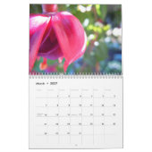 Fuschias 2015 II Kalender (Mär 2027)