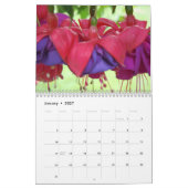 Fuschias 2015 II Kalender (Jan 2027)