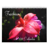 Fuschias Kalender (Titelbild)