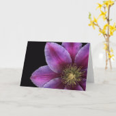 Fuscia Clematis-Nahaufnahme Karte (Gelbe Blume)