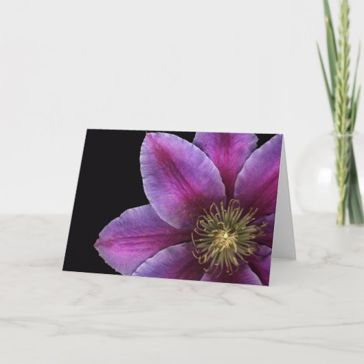 Fuscia Clematis-Nahaufnahme Karte (Vorderseite)