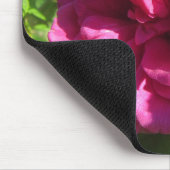 Fuscia Rugosa Rose, mehrfache Blumenblätter Mousepad (Ecke)