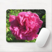 Fuscia Rugosa Rose, mehrfache Blumenblätter Mousepad (Mit Mouse)