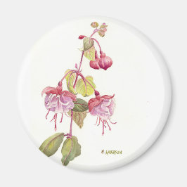 Fushia Aquarell Blume rot und rosa Magnet