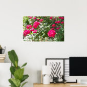 Fushia-Rose überall drucken Poster (Heimbüro)