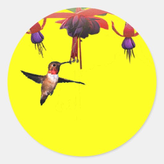 Fushia und Hummingbird Runder Aufkleber (Vorderseite)