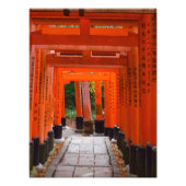 Fushimi gate dec fotodruck (Vorne)