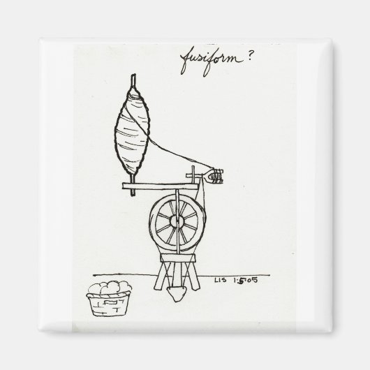 Fusiformmagnet Magnet (Vorne)