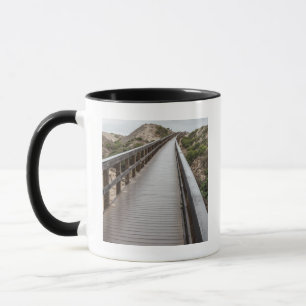 Fuß-Brücke Oso Flaco am See-Staats-Park Tasse