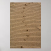 Fußabdrücke im Sand Poster (Vorne)