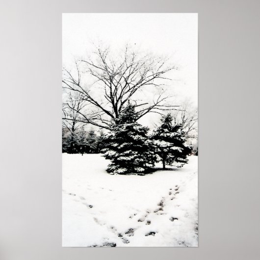 Fußabdrücke im Schneeplakat Poster (Vorne)