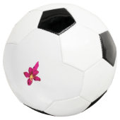Fußball (Dreiviertel)