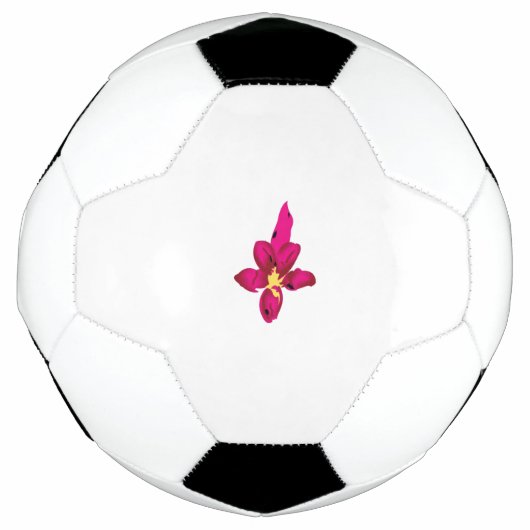 Fußball (Vorderseite)