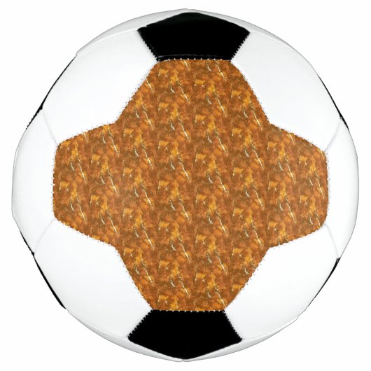 Fußball (Vorderseite)