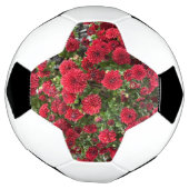 Fußball (Gedreht)