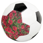 Fußball (Dreiviertel)