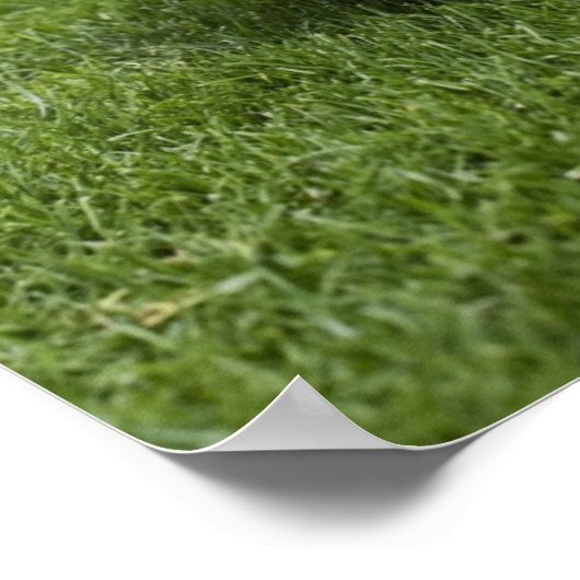 Fußball 2 poster (Ecke)