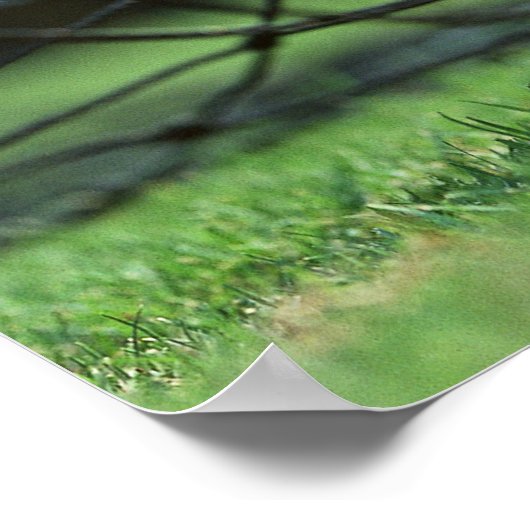 Fußball 3 poster (Ecke)