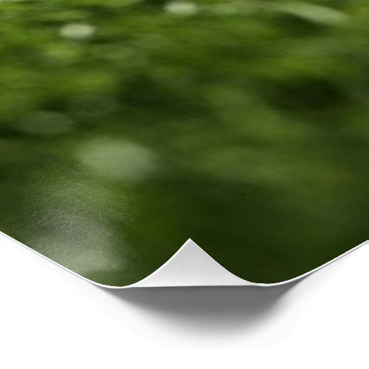 Fußball auf dem Grasfeld unter dem Licht des Stadi Poster (Ecke)