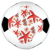 Fußball Ball Crab Stars Beach Fun (Gedreht)