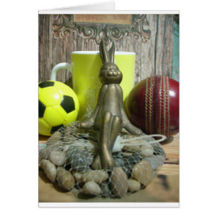 Fußball-Cricket-Zuschauer