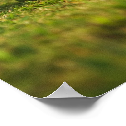 Fußball (Fußball) 5 Poster (Ecke)