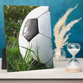Fußball~ Fußball im Feld Fotoplatte (Seite)