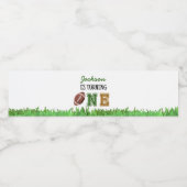 Fußball Geburtstagsparty Wasserflasche Etikett (Einzelnes Label)