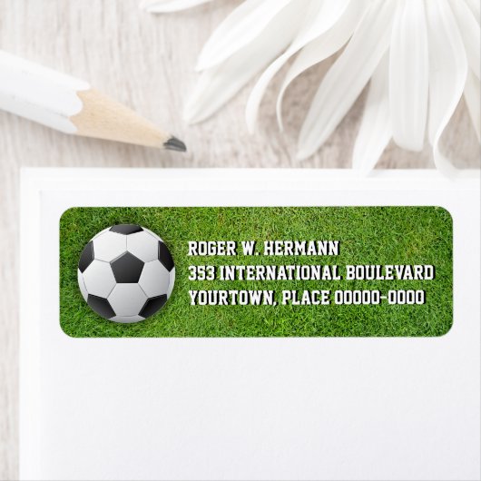 Fußball im Gras (Insitu)