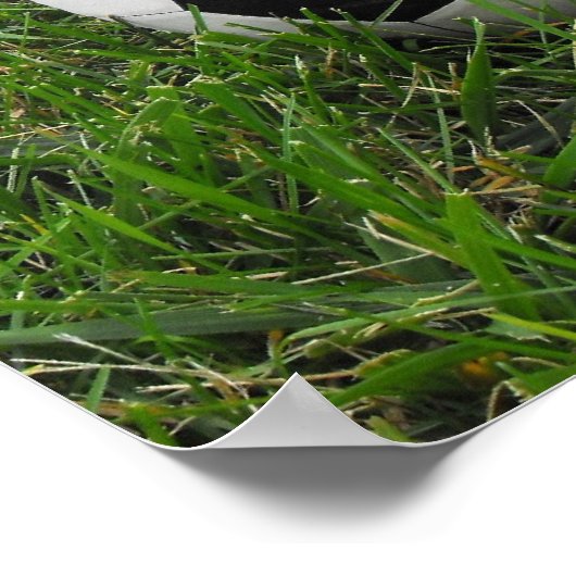Fußball im Gras Poster (Ecke)