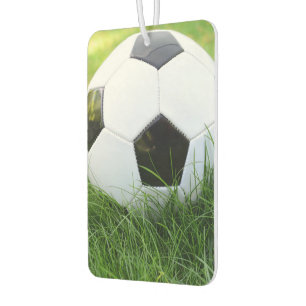Fußball im Sommer-Gras Autolufterfrischer