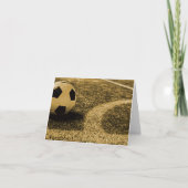 Fußball-Mitteilungskarten Karte (Vorderseite)