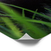 Fußball Poster (Ecke)