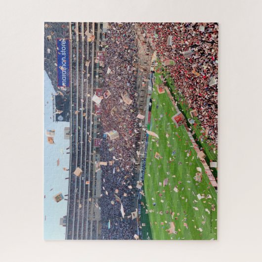 Fußball, Puzzle (Vertikal)