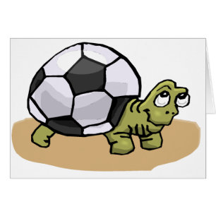 Fußball-Schildkröte
