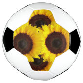 Fußball-Sonnenblume Fußball (Gedreht)