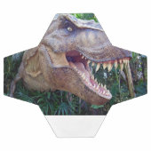 Fußball Süßer Dinosaurier (Flach)