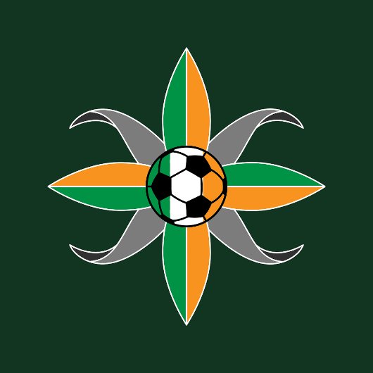 FUSSBALL-T - Shirt IN IRLAND