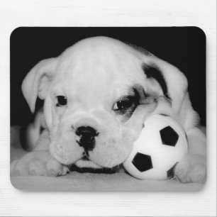 "Fußball-Welpen-" englische Bulldogge Mousepad