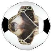 Fußballspiel Fußball (Gedreht)
