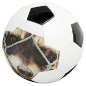 Fußballspiel Fußball (Dreiviertel)