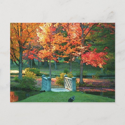 Fußbrücke im Herbst Postkarte (Vorderseite)
